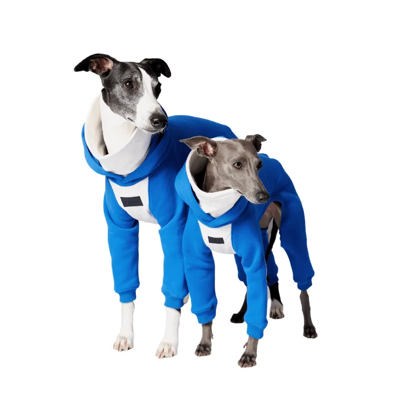 Elecrique Hooded Onesie