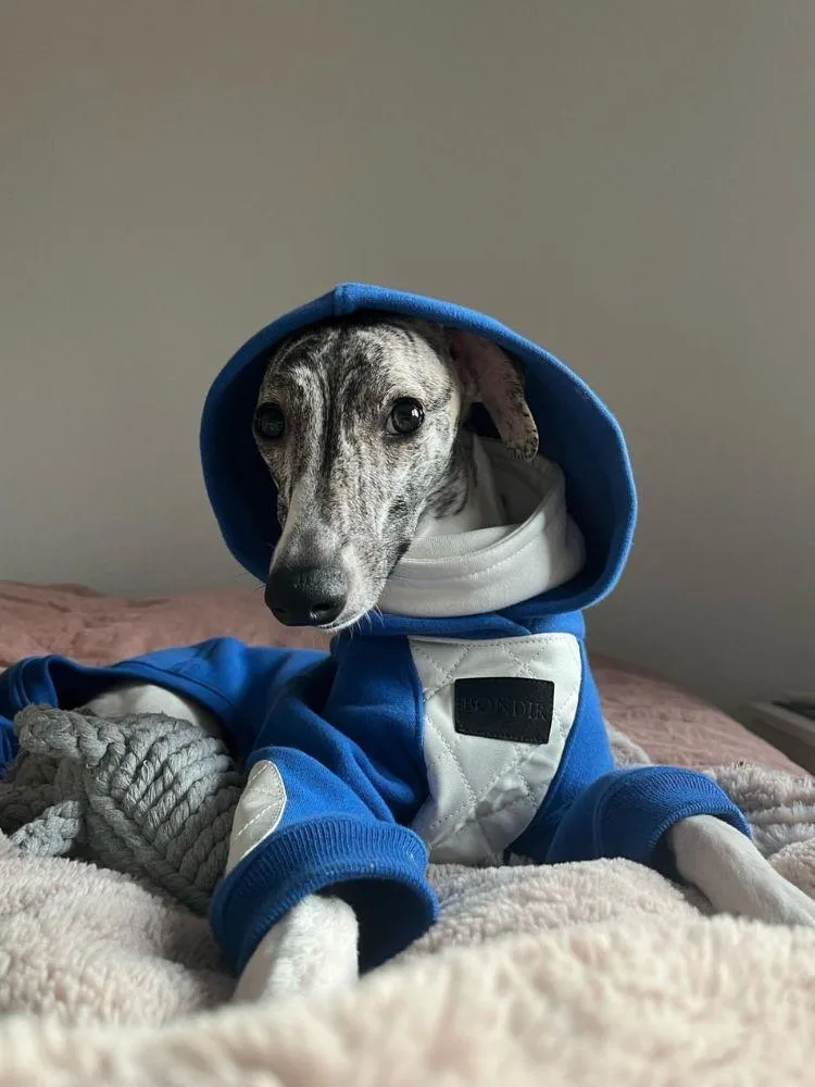 Elecrique Hooded Onesie
