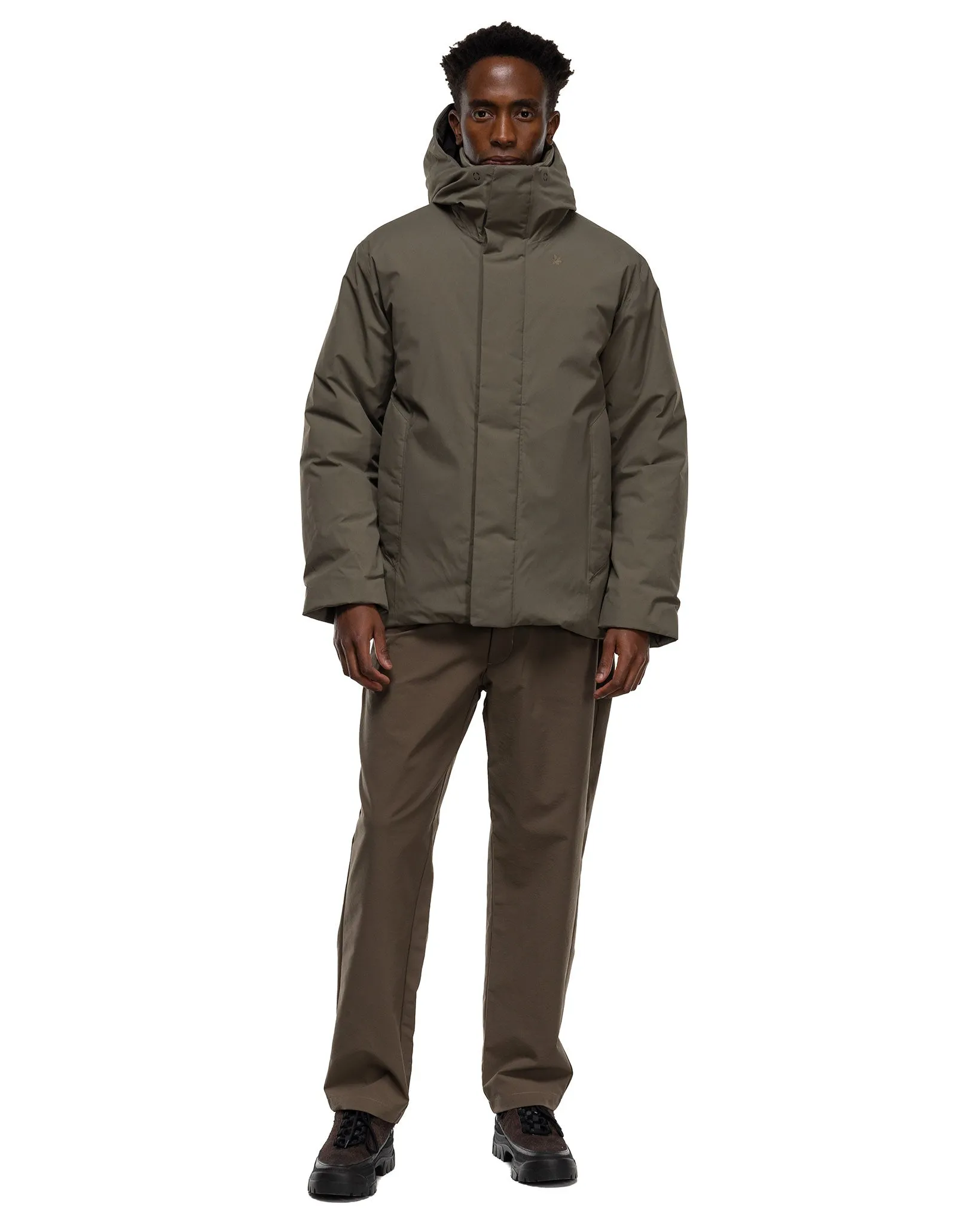 GORE-TEX Snow Range Down Parka Olive Beige