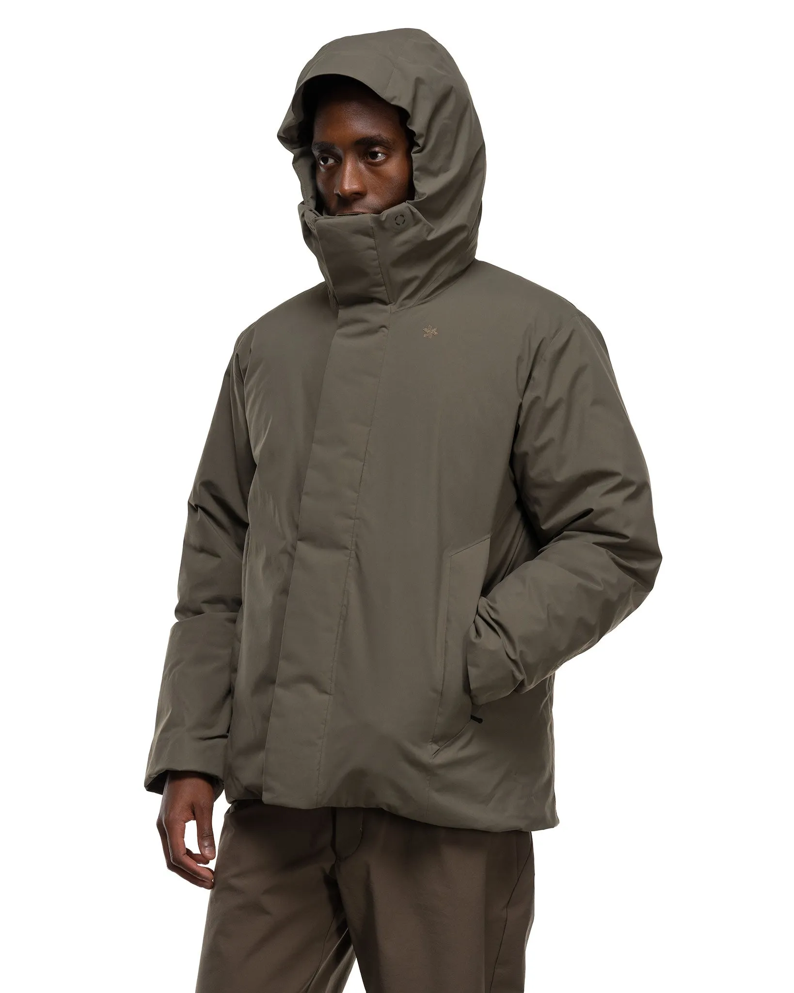 GORE-TEX Snow Range Down Parka Olive Beige